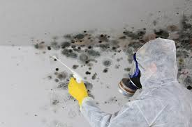 Best Water Damage & Mold Remediation  in Sylvania, GA